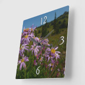 Paarse Aster Flowers op Mount Rainier Vierkante Klok (Hoek)