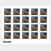 Paarse Aster Flowers op Mount Rainier Vierkante Sticker (Vel)