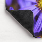 Paarse Aster Flowers op RHS Garden Wisley Muismat (Hoek)