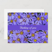 Paarse aster Flowers op RHS Garden Wisley Thinking Briefkaart (Voorkant / Achterkant)