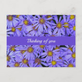 Paarse aster Flowers op RHS Garden Wisley Thinking Briefkaart (Voorkant)