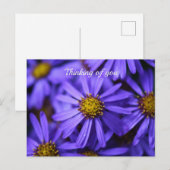 Paarse aster Flowers op RHS Garden Wisley Thinking Briefkaart (Voorkant / Achterkant)