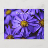 Paarse aster Flowers op RHS Garden Wisley Thinking Briefkaart (Voorkant)