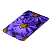 Paarse aster Flowers op RHS Garden Wisley Thinking Magneet (Linkerzijde)