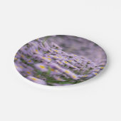 Paarse Aster Flowers Papieren Bordje (Gekanteld)