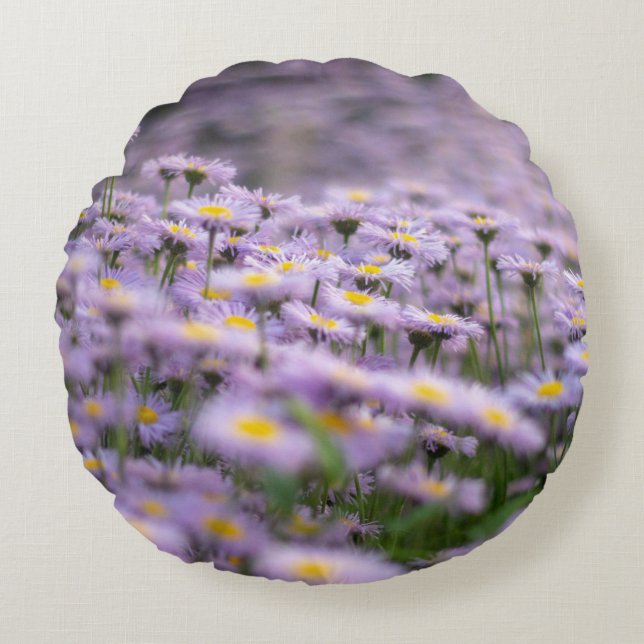 Paarse Aster Flowers Rond Kussen (Voorkant)