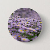 Paarse Aster Flowers Ronde Button 5,7 Cm (Voorkant)