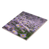 Paarse Aster Flowers Tegeltje (Zijkant)
