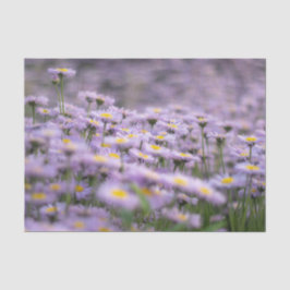 Paarse Aster Flowers Tissuepapier