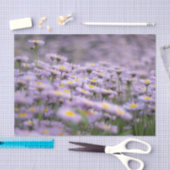 Paarse Aster Flowers Tissuepapier (Craft)