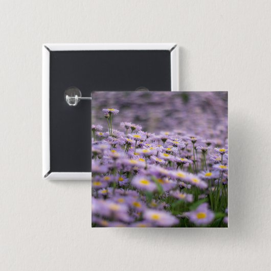 Paarse Aster Flowers Vierkante Button 5,1 Cm (Voorkant /achterkant)