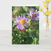 Paarse Aster Kaart (Gele Bloem)