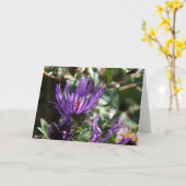Paarse Aster Kaart (Gele Bloem)