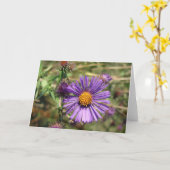 Paarse Aster Kaart (Gele Bloem)