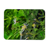 Paarse Aster onder verbrande bomen Abstract Magneet (Horizontaal)