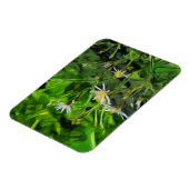 Paarse Aster onder verbrande bomen Abstract Magneet (Linkerzijde)