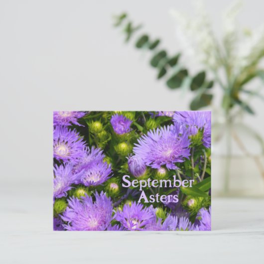 Paarse aster wilde bloemen fotografische bloemen briefkaart (Staand voorkant)