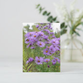 Paarse Asters Briefkaart (Staand voorkant)