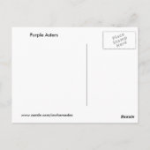 Paarse Asters Briefkaart (Achterkant)