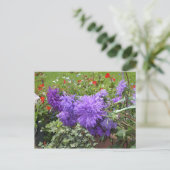 Paarse Asters en Ivy Briefkaart (Staand voorkant)