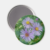 Paarse Asters met Bee Fly Magnet (Voorkant / Achterkant)
