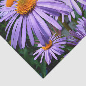 Paarse Asters Tissuepapier (Detail)