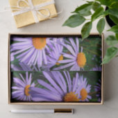 Paarse Asters Tissuepapier (Geschenk)