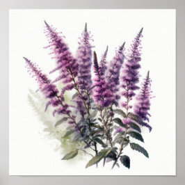 Paarse Astilbe Flower Art Print Poster