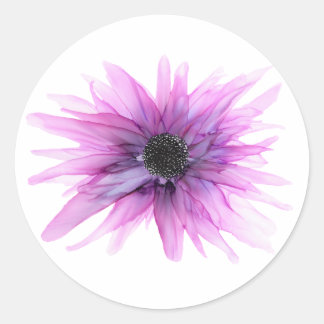 Paarse Astor—alle vormen van sticker— Ronde Sticker
