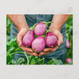 Paarse aubergines in de biologische tuin feestdagenkaart