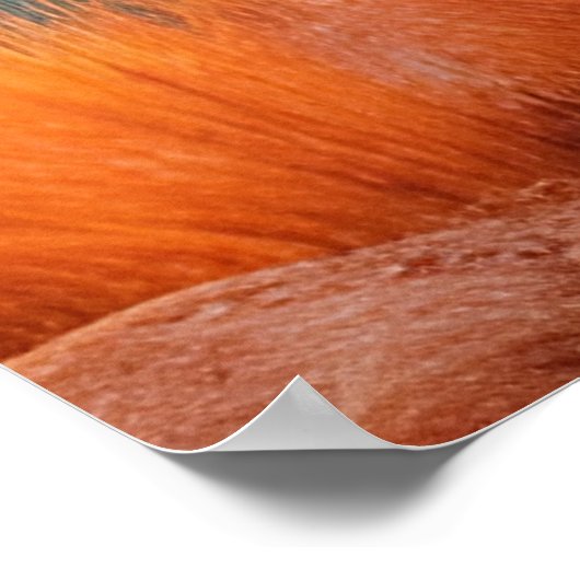 Paarse Autumn Harvest Moon Poster (Hoek)