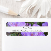 Paarse azalea adresetiketten etiket (Insitu)