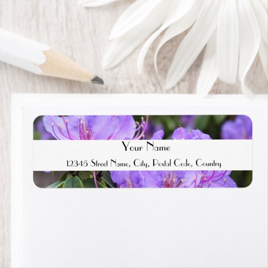 Paarse azalea adresetiketten etiket (Insitu)