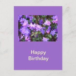 paarse azalea bloeiende struik briefkaart