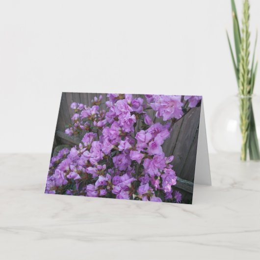 Paarse Azalea Merchandise Kaart (Voorkant)
