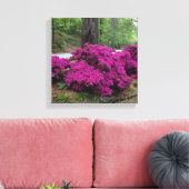 Paarse Azalea Struiken in bloei Canvas Afdruk (Insitu (Woonkamer))