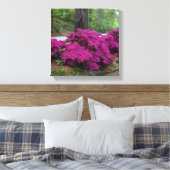 Paarse Azalea Struiken in bloei Canvas Afdruk (Insitu (Slaapkamer))