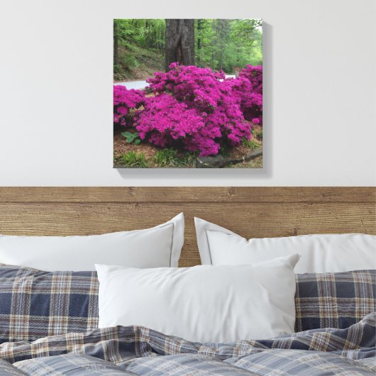 Paarse Azalea Struiken in bloei Canvas Afdruk (Insitu (Slaapkamer))