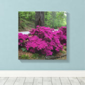 Paarse Azalea Struiken in bloei Canvas Afdruk (Insitu (Houten vloer))