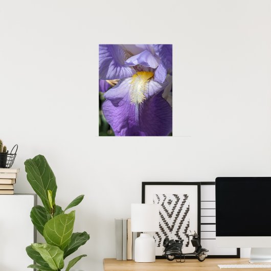 Paarse Baardiris Bloem Poster (Thuiskantoor)