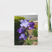 Paarse Baardiris Persoonlijke Wenskaart Kaart (Voorkant)