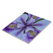 Paarse baardloze iris bloem tegeltje (Zijkant)