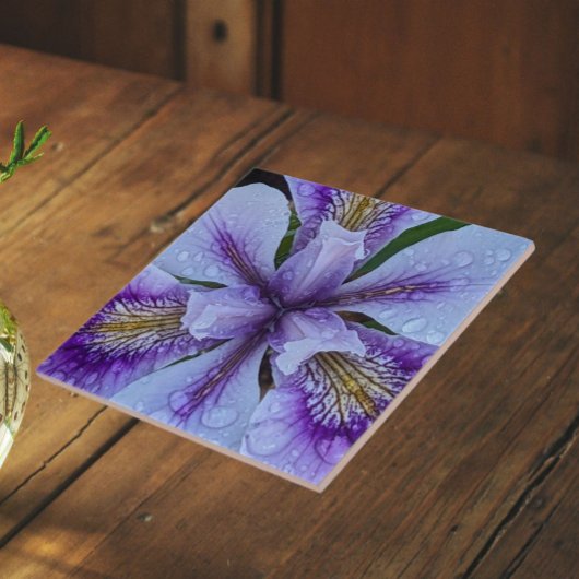 Paarse baardloze iris bloem tegeltje