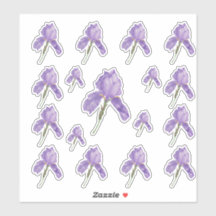 Paarse Bearded Iris in verschillende maten