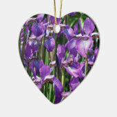 Paarse Bearded Iriss Flower Ornament (Links)