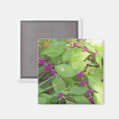 Paarse Beautyberry Magneet (Voorkant / Achterkant)