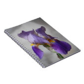 Paarse bebaarde iris notitieboek (Rechterzijde)