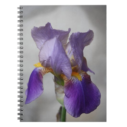 Paarse bebaarde iris notitieboek (Voorkant)