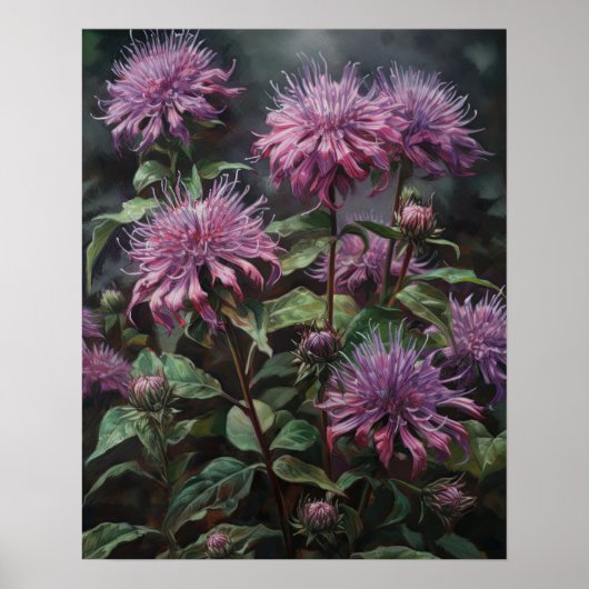 Paarse Bee Balm Flowers Art Print Poster (Voorkant)