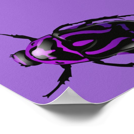 Paarse Beetle Poster (Hoek)